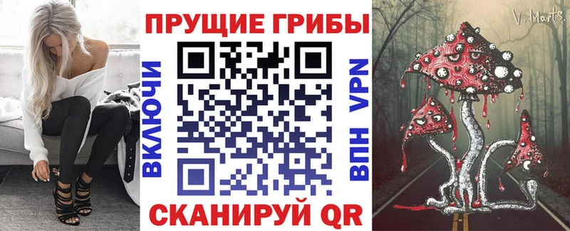 что такое   Спас-Деменск  Галлюциногенные грибы Cubensis 